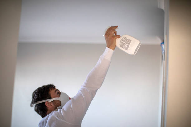 Office Mold Removal Services in Griggsville, IL
